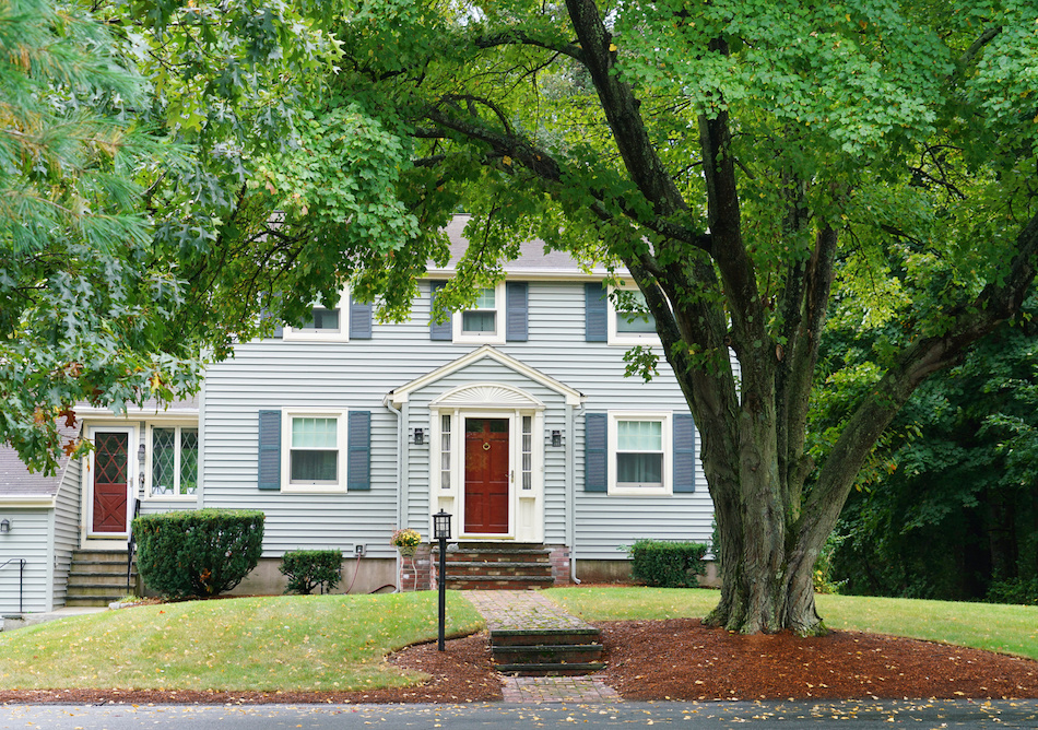 Affordable Curb Appeal Tips