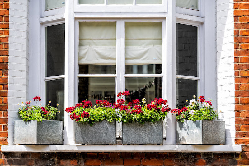 Bay Windows with Flowers