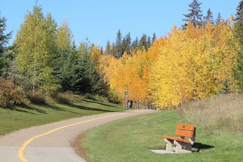 Where to Go Hiking in MacKinnon Ravine